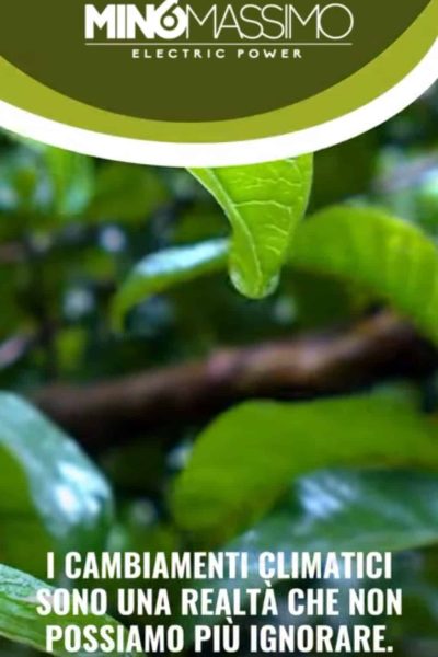 Immagine 2025-03-28 214842